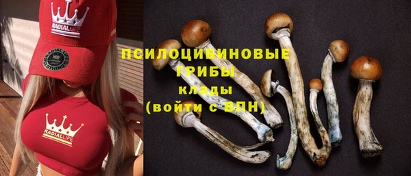 прущая мука Бугульма