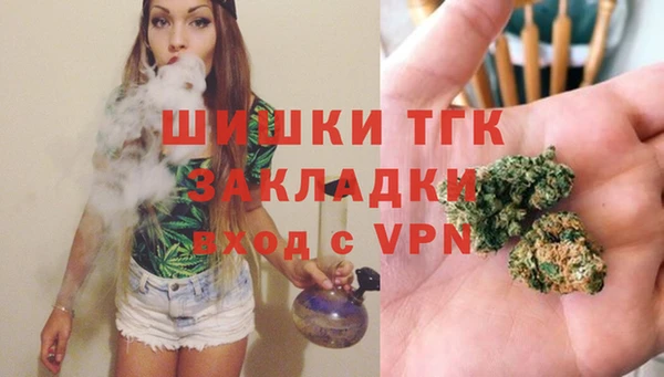 мет Бородино